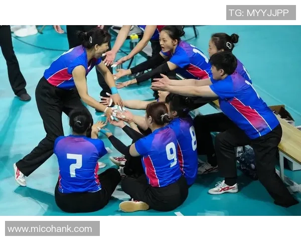 数据分析：上海排球队的力量表现