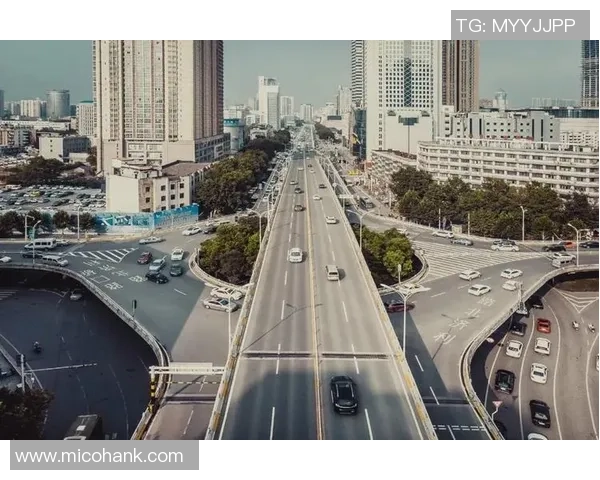 数据分析：武汉极限运动队的技术表现